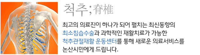 이제 충남도민의 척추 관절을 논산백제종합병원이 책임지겠습니다. 최고의 의료진이 하나가 되어 펼치는 최신동향의 최소침습수술과 과학적인 재활치료가 가능한 척추 관절재활
운동센터를 통해 새로운 의료서비스를 논산시민에게 드립니다.